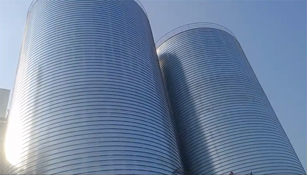 平凉2座混凝土高架卷板仓